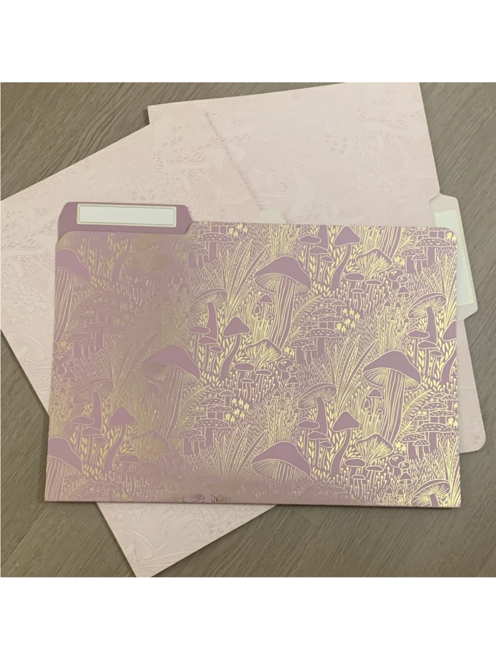 Papyrus 3pk Tabbed File Folders 1/3-Cut Purple Mushroom Laminated Gold Pink New